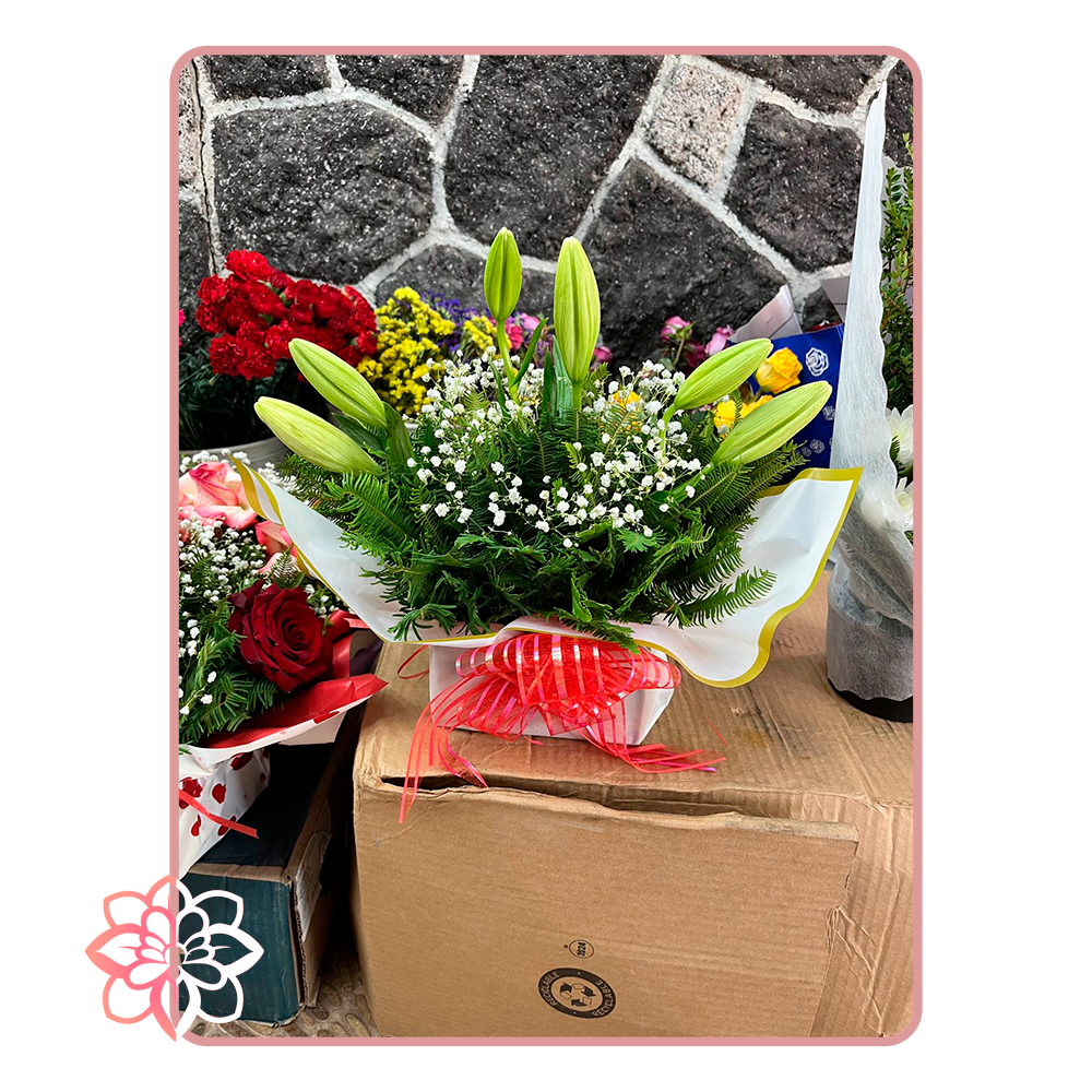 Arreglo Floral con Lilium en Capullo y Gypsophila