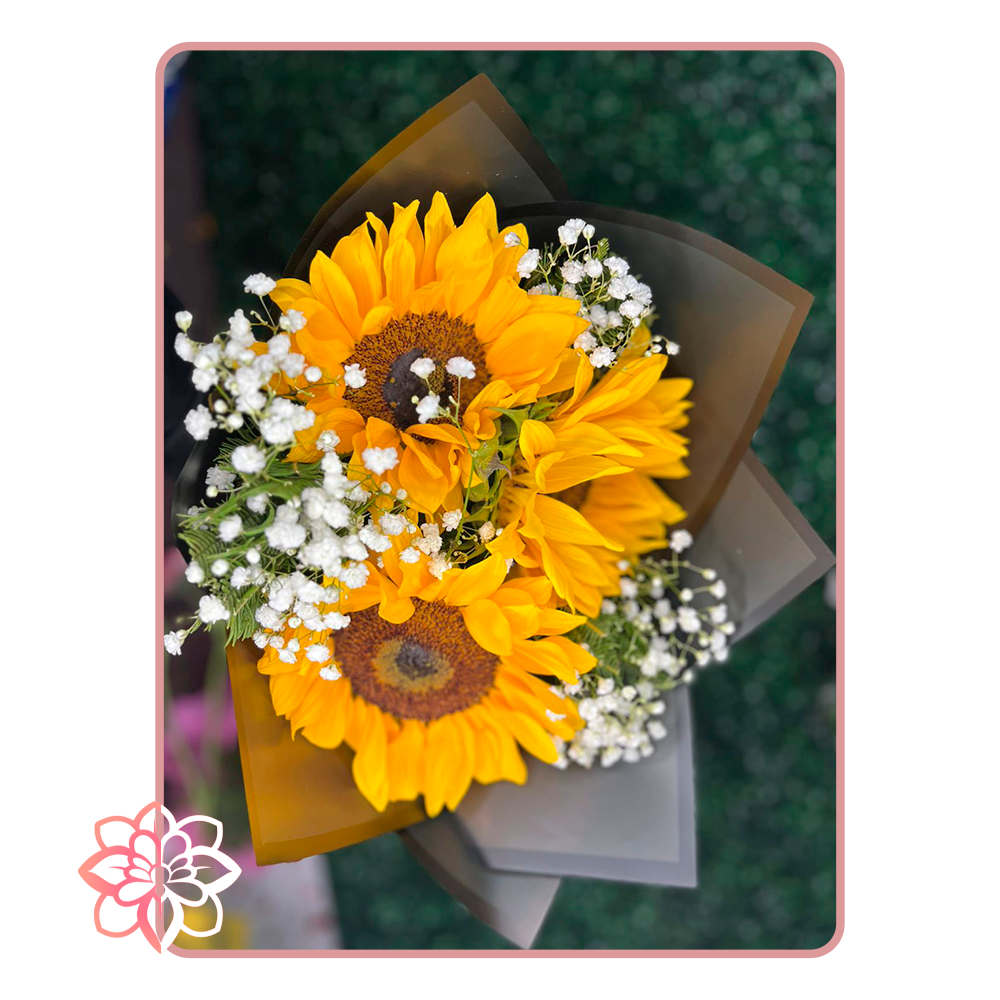 Precioso Ramo de Girasoles Naturales con Gypsophila Blanca