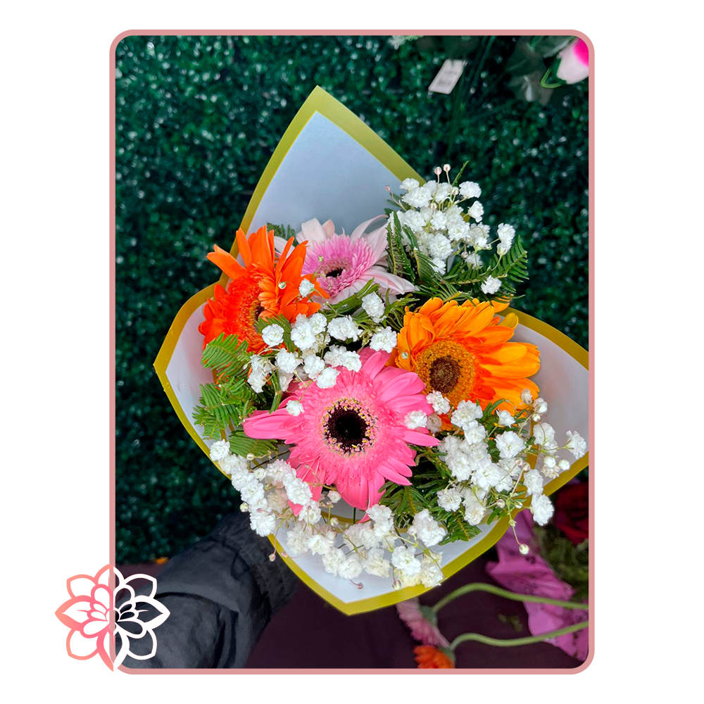 Hermoso Ramo con Gerberas de Colores y Gypsophila Natural