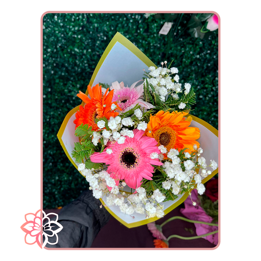Hermoso Ramo con Gerberas de Colores y Gypsophila Natural