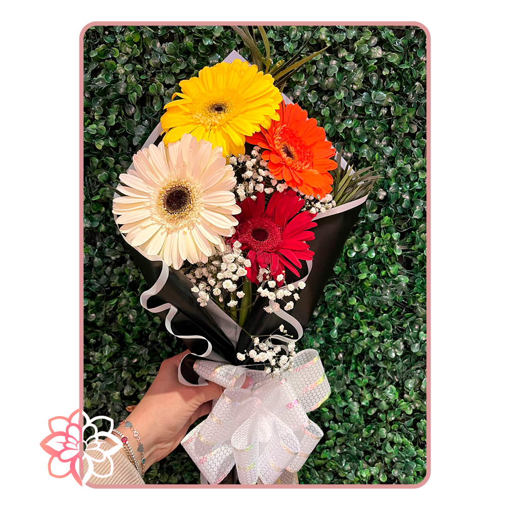 Hermoso Ramo con Gerberas de Colores