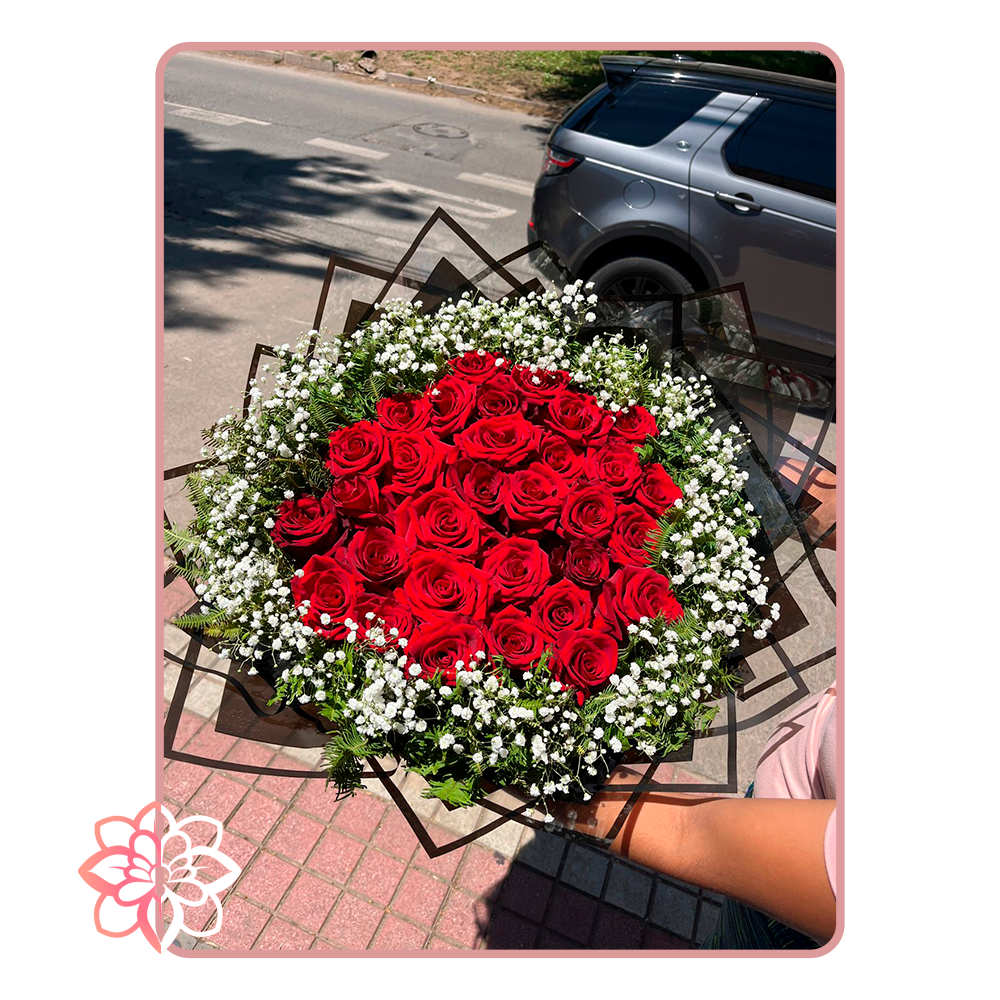 Ramo Premium de 30 Rosas Rojas con Gypsophila