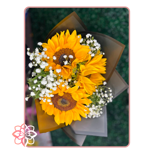 Precioso Ramo de Girasoles Naturales con Gypsophila Blanca