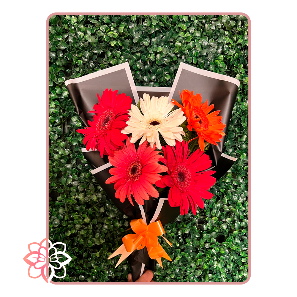 Ramo de Mano con Gerberas de Colores